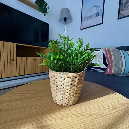 Bubo Sol Caleta De Fuste