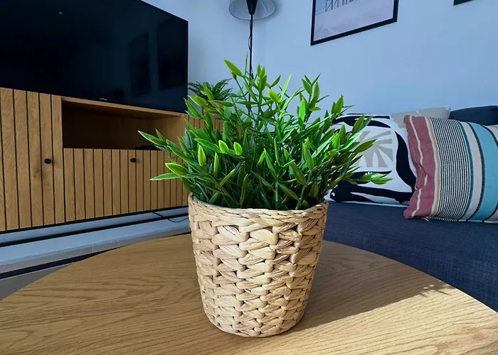 Bubo Sol Caleta De Fuste