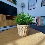 Bubo Sol Caleta De Fuste